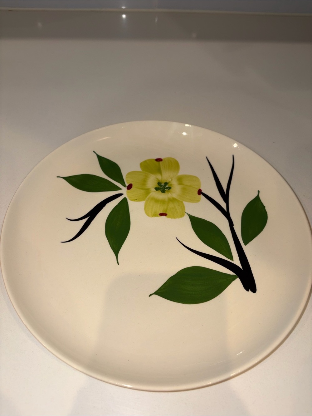 Vintage Mid Century Dixie Dogwood by Blue Ridge Southern Luncheon Plate 9 1/2"